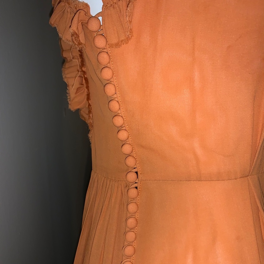 Magda Butrym Assisi Dress - Picture 7 of 11